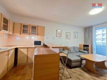 Pronájem bytu 1+kk, Ostrava - Moravská Ostrava, U Parku, 25 m2