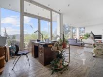 Prodej atypického bytu, Brno, Kalvodova, 238 m2