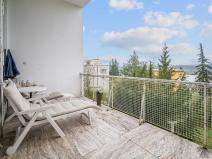 Prodej atypického bytu, Brno, Kalvodova, 238 m2