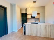 Pronájem bytu 2+kk, Opava - Předměstí, Riegrova, 54 m2