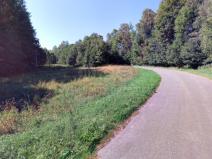 Prodej louky, Malá Morava - Zlatý Potok, 345 m2