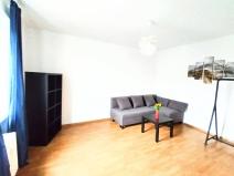 Pronájem bytu 1+1, Ostrava - Zábřeh, Čujkovova, 29 m2