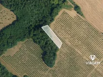 Prodej podílu lesa, Semtěš, 1191 m2