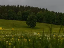 Prodej podílu louky, Útvina, 3314 m2
