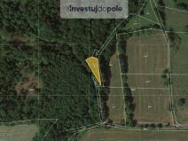 Prodej lesa, Valkeřice, 10230 m2