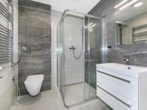 Pronájem bytu 1+kk, Zruč-Senec - Zruč, Sportovní, 62 m2