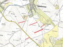 Prodej pole, Velešovice, 21318 m2