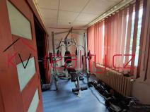Prodej bytu 3+kk, Chomutov, Březenecká, 57 m2