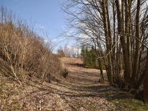 Prodej lesa, Lipová-lázně, 12392 m2