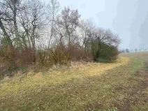 Dražba pozemku, Písečné, 1097 m2