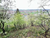 Prodej zahrady, Žatec, 2070 m2