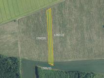 Prodej louky, Brumovice, 9612 m2