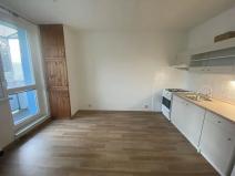 Pronájem bytu 1+1, Jihlava, S. K. Neumanna, 38 m2