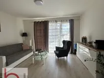 Pronájem bytu 1+kk, České Budějovice, Volejbalistů, 38 m2