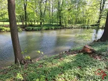 Pronájem rybníku, Bystřice pod Hostýnem, 781 m2