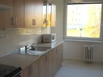 Pronájem bytu 4+1, Ústí nad Labem, Spartakiádní, 87 m2