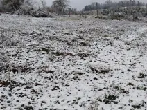 Prodej lesa, Pelhřimov, 24225 m2