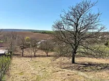 Prodej pozemku pro bydlení, Nové Bránice, 4162 m2