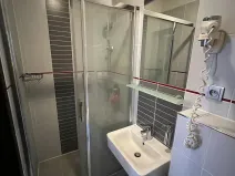 Pronájem bytu 1+kk, Brno, Francouzská, 19 m2