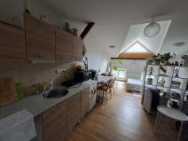 Pronájem bytu 1+kk, Olomouc, Denisova, 40 m2