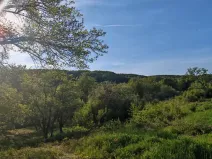 Prodej pozemku pro bydlení, Březnice, 800 m2