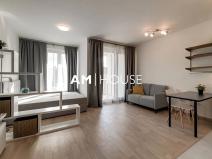 Pronájem bytu 1+kk, Praha - Žižkov, Olgy Havlové, 38 m2