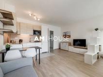 Pronájem bytu 1+kk, Praha - Žižkov, Olgy Havlové, 38 m2