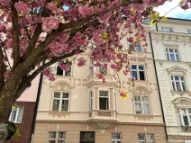 Pronájem bytu 2+1, Praha - Vinohrady, Přemyslovská, 78 m2