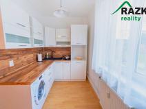 Pronájem bytu 1+kk, Planá, Bohušova, 30 m2