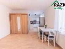 Pronájem bytu 1+kk, Planá, Bohušova, 30 m2