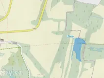 Dražba lesa, Přimda, 60208 m2