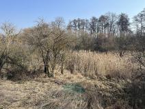 Prodej louky, Praha - Královice, 698 m2