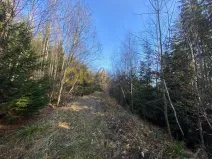 Dražba pozemku, Ústí, 11769 m2