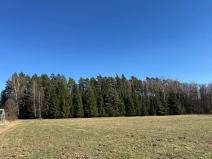 Prodej lesa, Tučapy, 3136 m2
