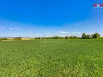 Prodej pozemku pro bydlení, Zbůch - Červený Újezd, 948 m2