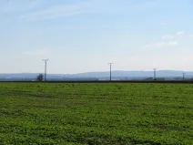Dražba pole, Rajhradice, 7223 m2