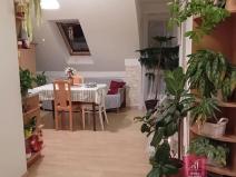 Pronájem bytu 2+kk, Bílovice nad Svitavou, Lesní, 50 m2