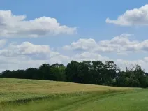Prodej pole, Libošovice, 19018 m2