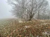 Dražba pole, Chuchelna, 4813 m2