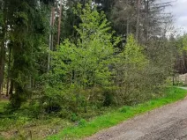 Prodej pozemku, Mlýny, 826 m2