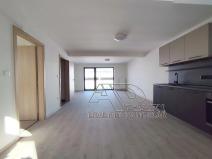 Pronájem bytu 2+kk, České Budějovice, Fráni Šrámka, 65 m2