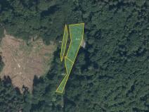 Prodej louky, Nemile, 23075 m2