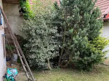 Prodej chalupy, Krasonice, 74 m2