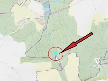 Prodej podílu lesa, Třebětín, 1638 m2