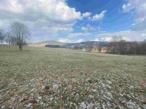 Prodej pole, Bartošovice v Orlických horách, 6128 m2