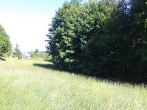 Prodej pozemku, Staré Křečany, 3564 m2