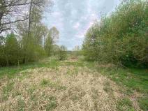 Prodej pozemku, Nová Bystřice - Blato, 969 m2