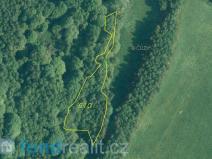 Prodej pole, Dešenice, 2427 m2