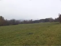 Dražba pole, Zdíkov, 10224 m2
