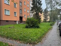 Prodej bytu 2+1, Ostrava, Jižní, 55 m2